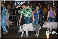 LCFAIR15-1977.jpg