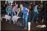 LCFAIR15-1978.jpg
