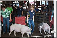 LCFAIR15-1982.jpg