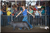 LCFAIR15-1984.jpg