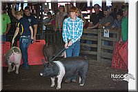 LCFAIR15-1985.jpg