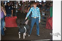 LCFAIR15-1986.jpg