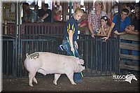 LCFAIR15-1988.jpg