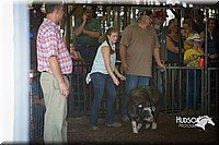 LCFAIR15-1993.jpg