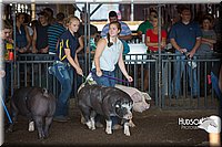 LCFAIR15-1994.jpg