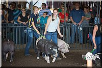 LCFAIR15-1995.jpg