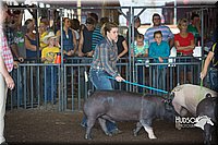 LCFAIR15-1996.jpg