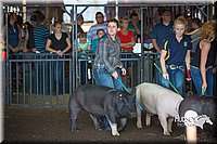 LCFAIR15-1997.jpg