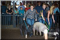 LCFAIR15-1998.jpg