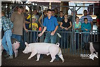 LCFAIR15-2000.jpg