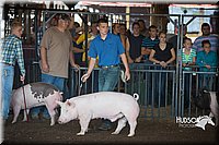 LCFAIR15-2001.jpg
