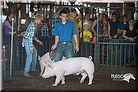 LCFAIR15-2002.jpg