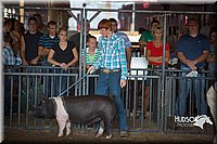 LCFAIR15-2003.jpg