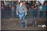 LCFAIR15-2006.jpg