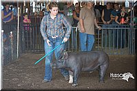 LCFAIR15-2007.jpg