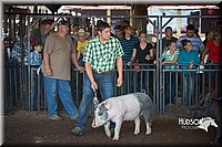 LCFAIR15-2008.jpg