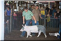 LCFAIR15-2009.jpg