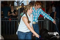 LCFAIR15-2010.jpg