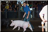 LCFAIR15-2012.jpg