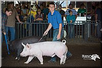 LCFAIR15-2013.jpg