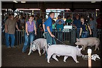 LCFAIR15-2014.jpg