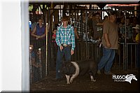 LCFAIR15-2015.jpg
