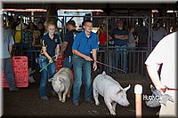 LCFAIR15-2016.jpg