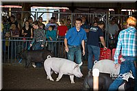LCFAIR15-2017.jpg