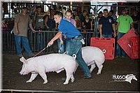 LCFAIR15-2019.jpg