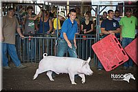 LCFAIR15-2020.jpg
