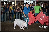 LCFAIR15-2021.jpg