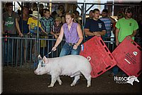 LCFAIR15-2023.jpg