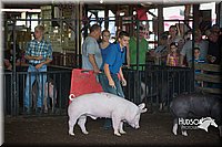 LCFAIR15-2025.jpg