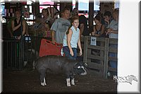 LCFAIR15-2026.jpg