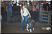 LCFAIR15-2027.jpg