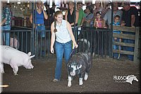 LCFAIR15-2029.jpg