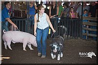 LCFAIR15-2030.jpg
