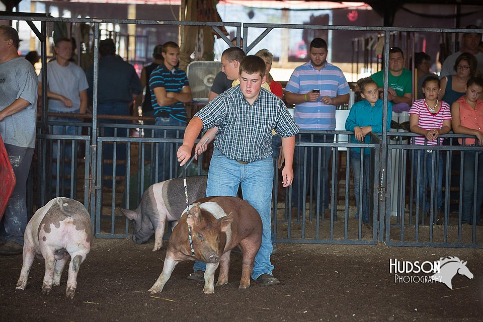 LCFAIR15-2035.jpg