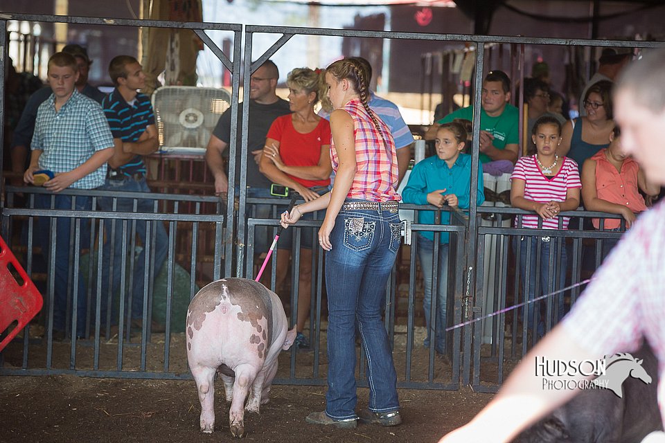 LCFAIR15-2038.jpg