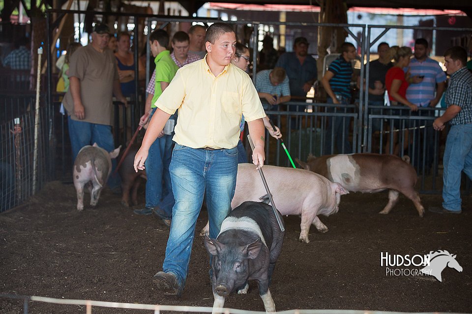 LCFAIR15-2041.jpg