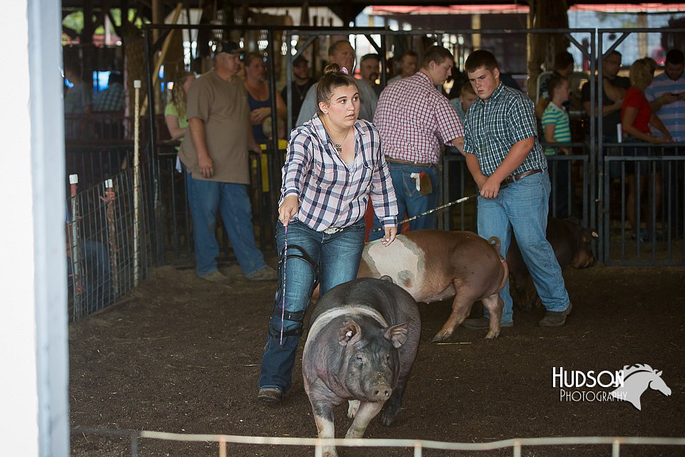 LCFAIR15-2044.jpg