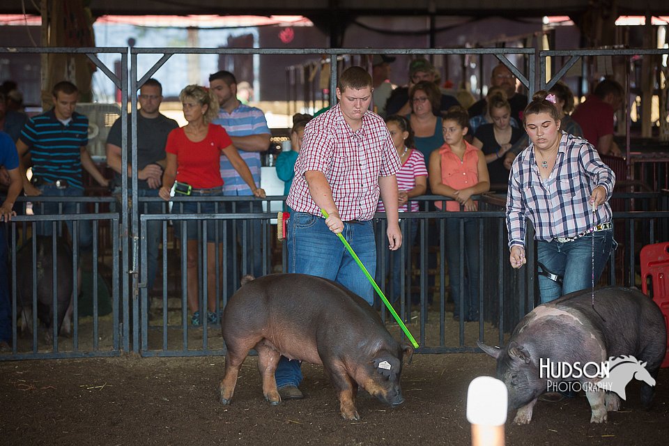 LCFAIR15-2048.jpg