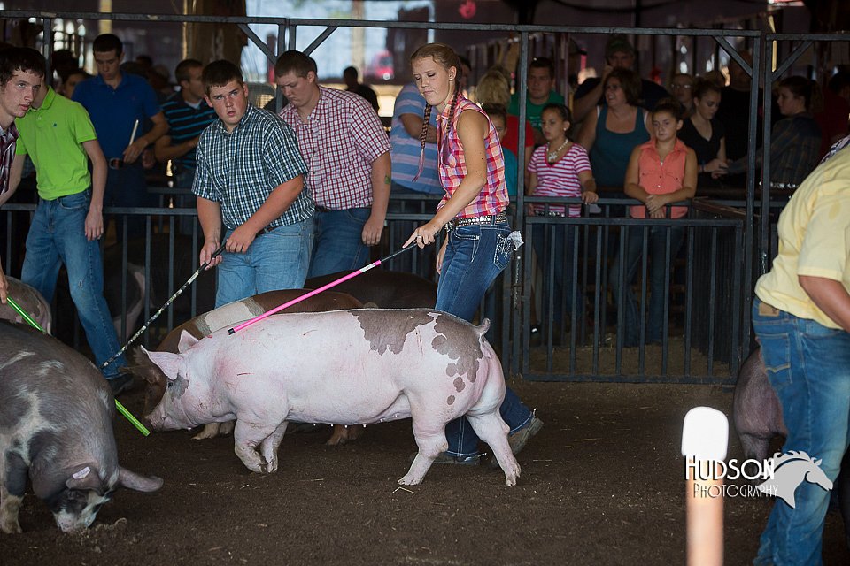 LCFAIR15-2053.jpg