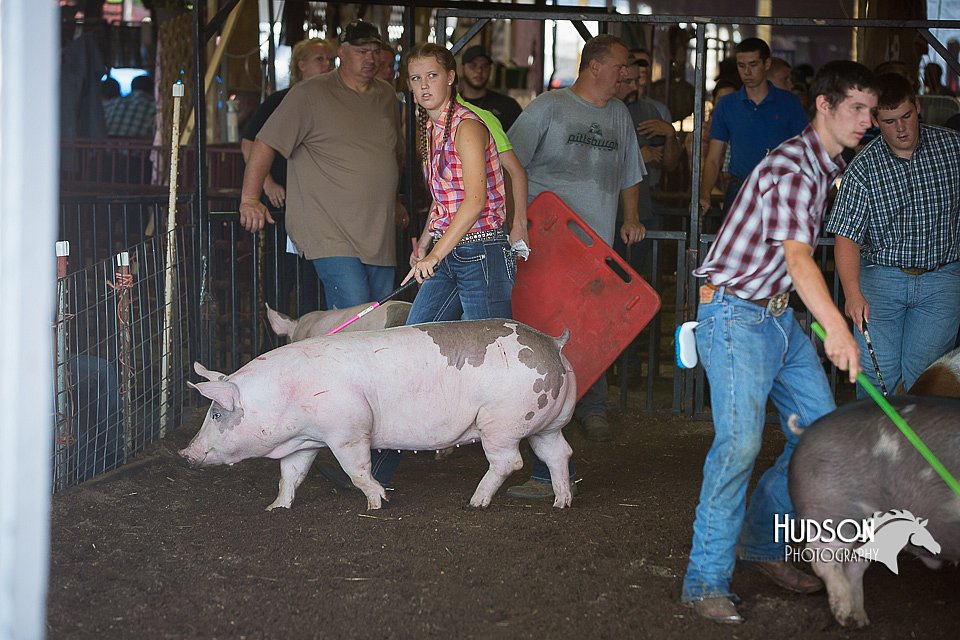 LCFAIR15-2054.jpg