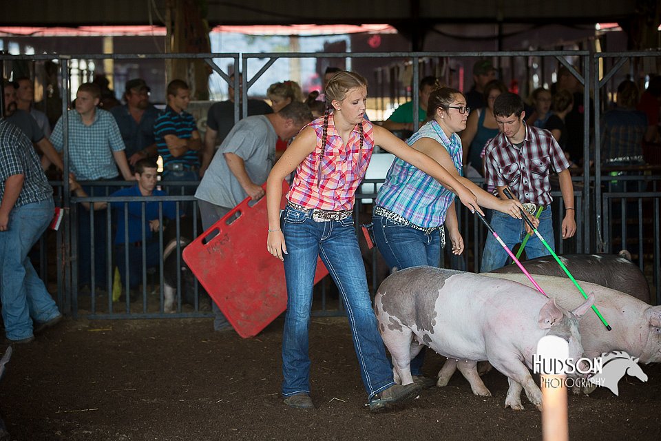 LCFAIR15-2056.jpg