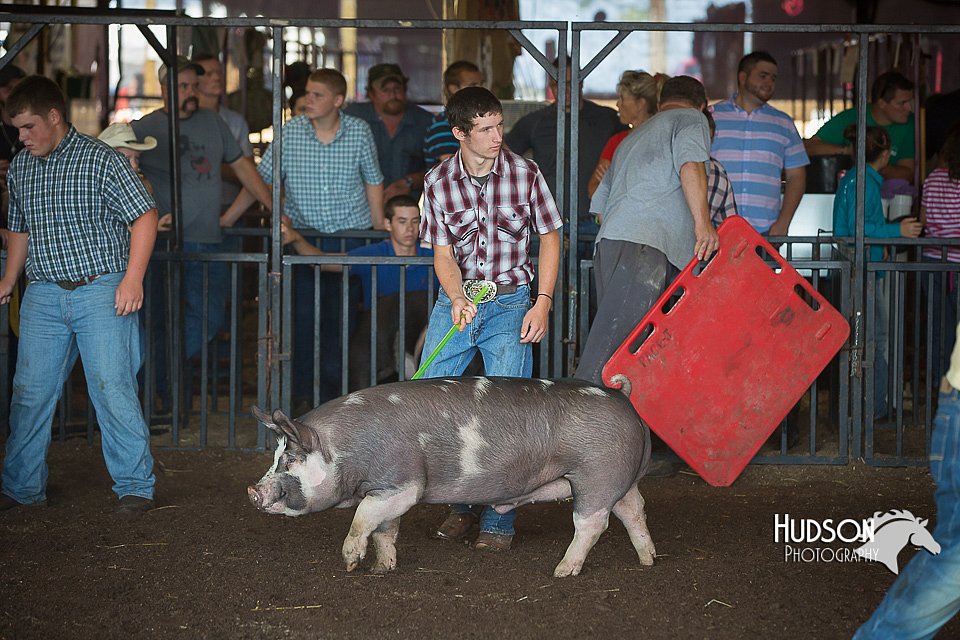 LCFAIR15-2057.jpg