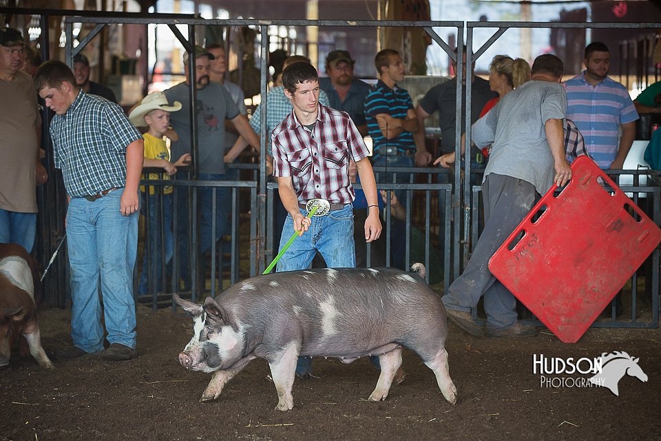 LCFAIR15-2058.jpg