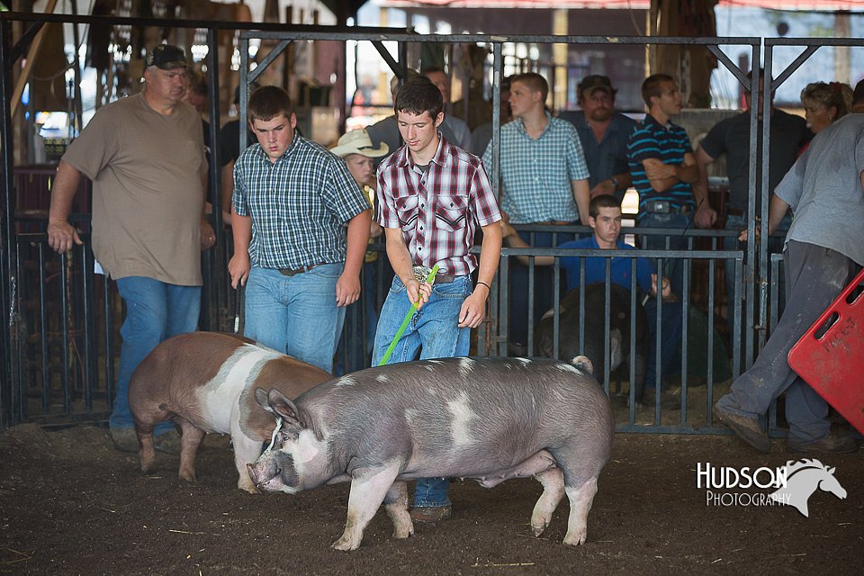 LCFAIR15-2059.jpg
