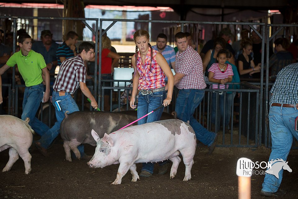 LCFAIR15-2060.jpg