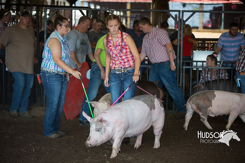 LCFAIR15-2062.jpg